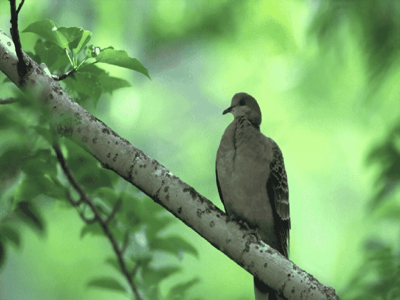 苏州代怀最好医院,泰国试管价格高吗？-苏州有没有供卵机构_苏州供卵试管医院